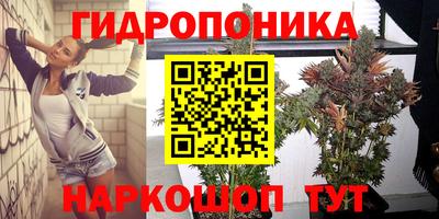 дмт Янаул