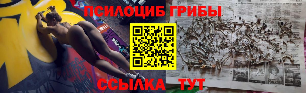 Вичуга  Псилоцибиновые грибы MAGIC MUSHROOMS  купить  сайты  Вход с VPN 
